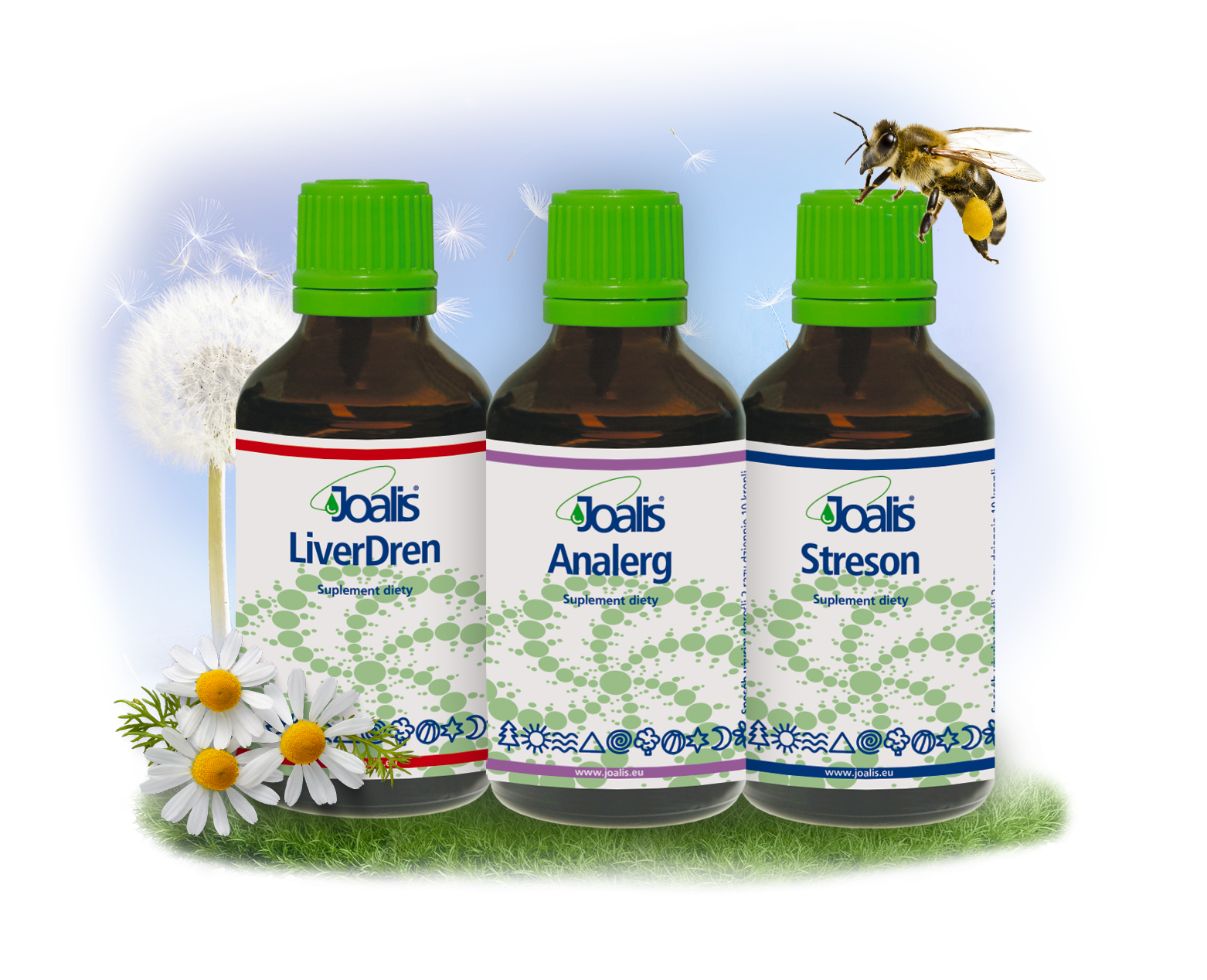 ALLERGY_PL.png
